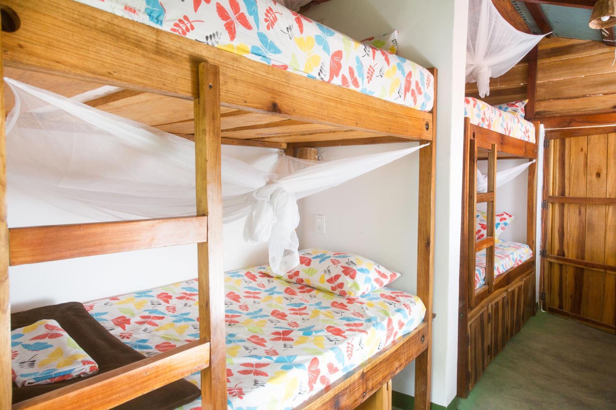 Mundo Nuevo Eco Lodge Minca Δωμάτιο φωτογραφία