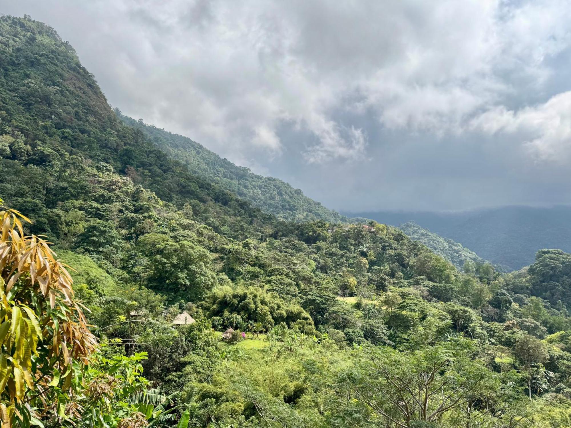 Mundo Nuevo Eco Lodge Minca Εξωτερικό φωτογραφία